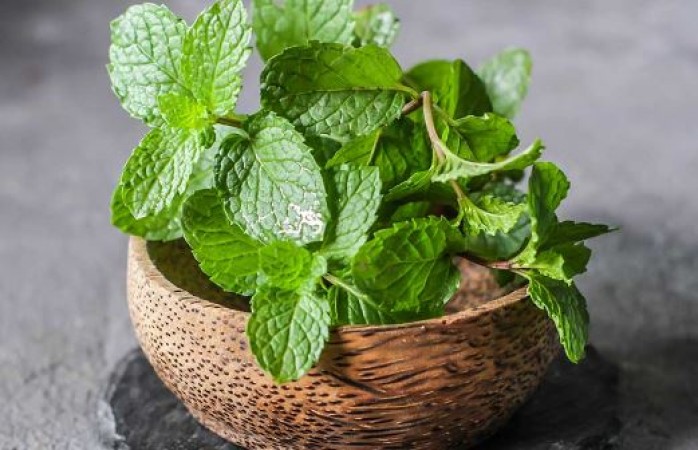 15 Healthy Ways to Use Fresh Mint