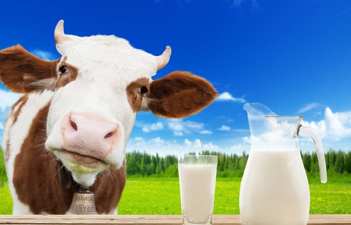 आँखों के दर्द को दूर करता है गाय का दूध