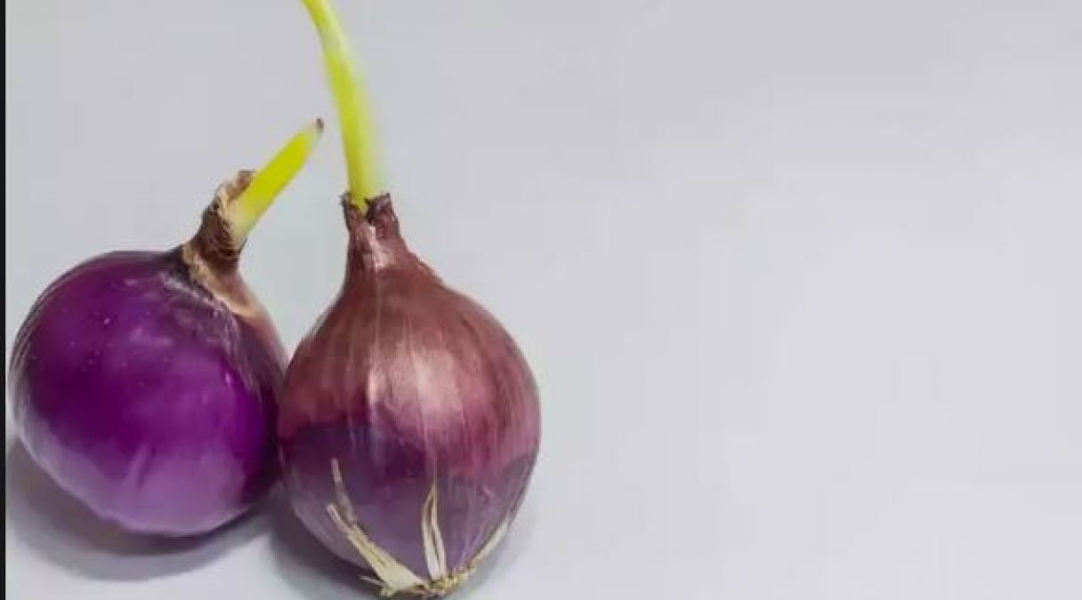 Read the best benefits of eating sprouted onions before throwing them