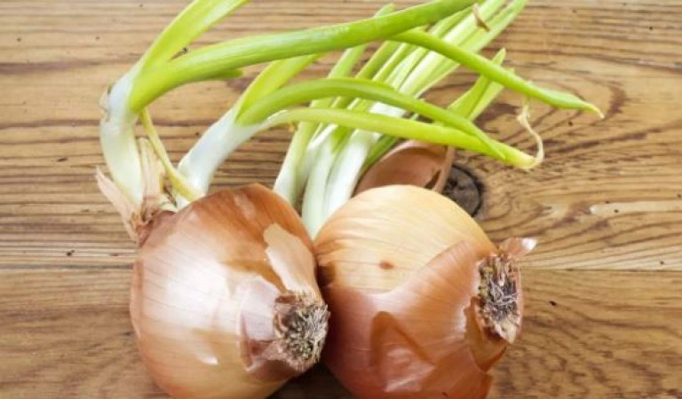Read the best benefits of eating sprouted onions before throwing them