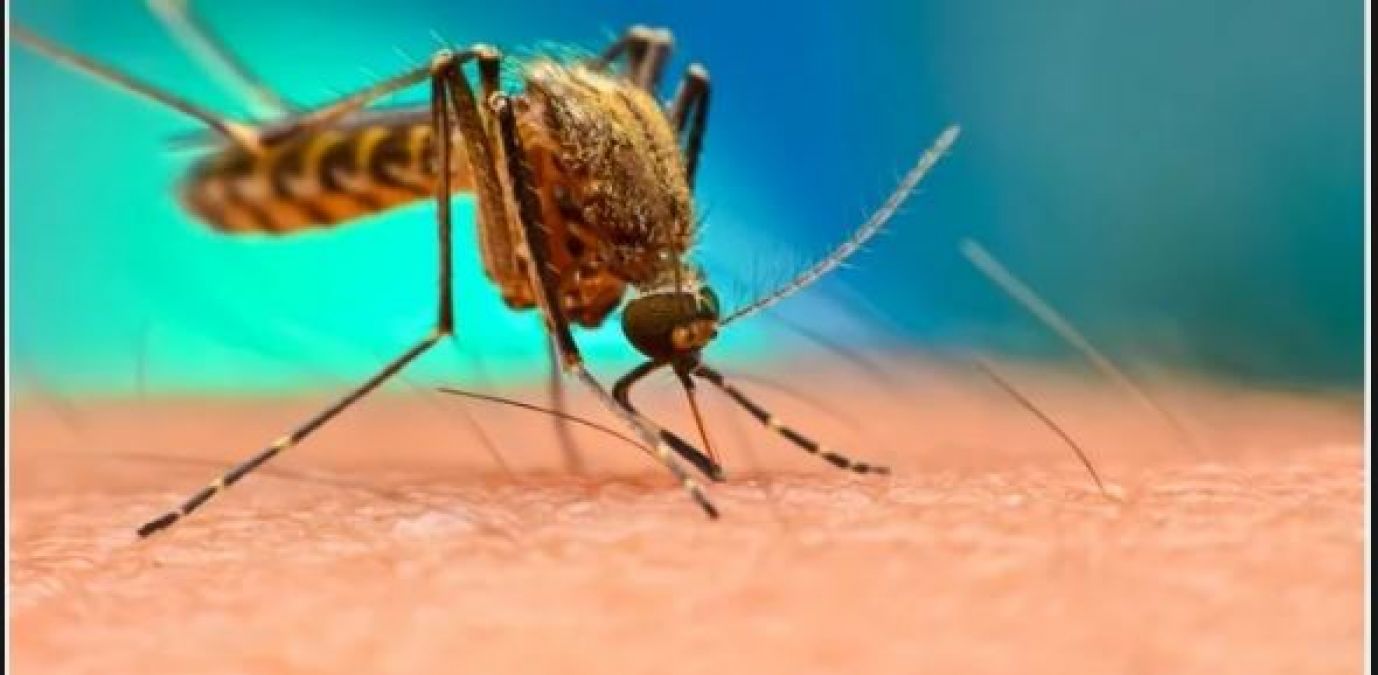 From nausea to vomiting, know what are the serious symptoms of malaria