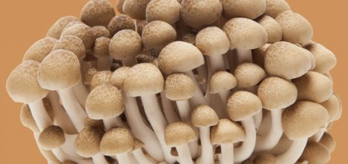 Mushrooms control sugar levels, know benefits of eating it