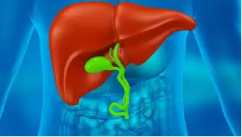 You can also adopt these special measures to keep the liver healthy