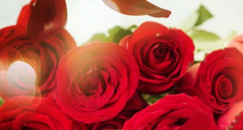 जानिए क्या है गुलाब के स्वास्थ्यवर्धक फायदे