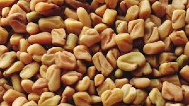 Fenugreek seeds are very effective for hair problems