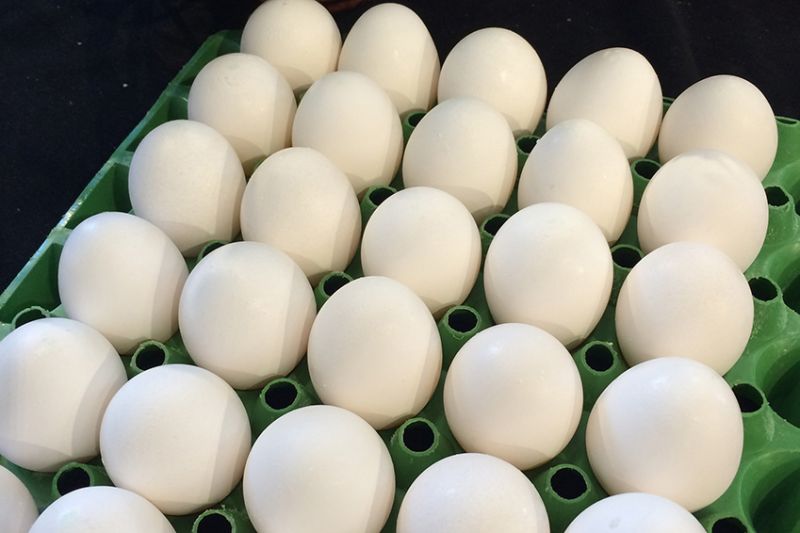बासी अंडे खाने से हो सकती है फ़ूड पॉइज़निंग की समस्या