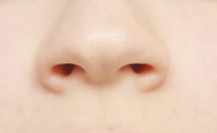 नाक के  सूखेपन को दूर करते हैं यह उपाय