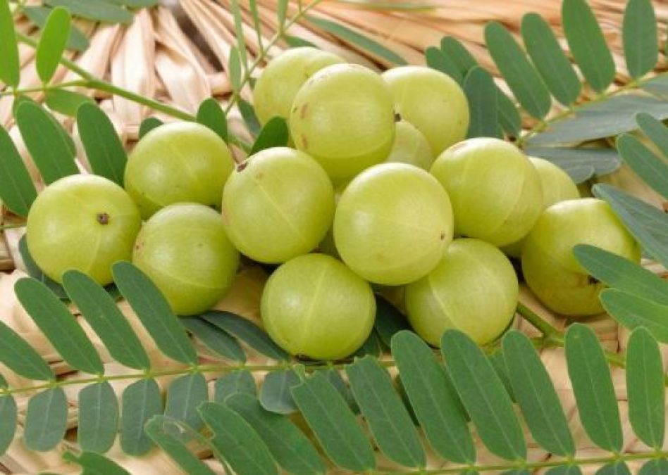 Amla is a boon for hair, skin and health, Learn Benefits