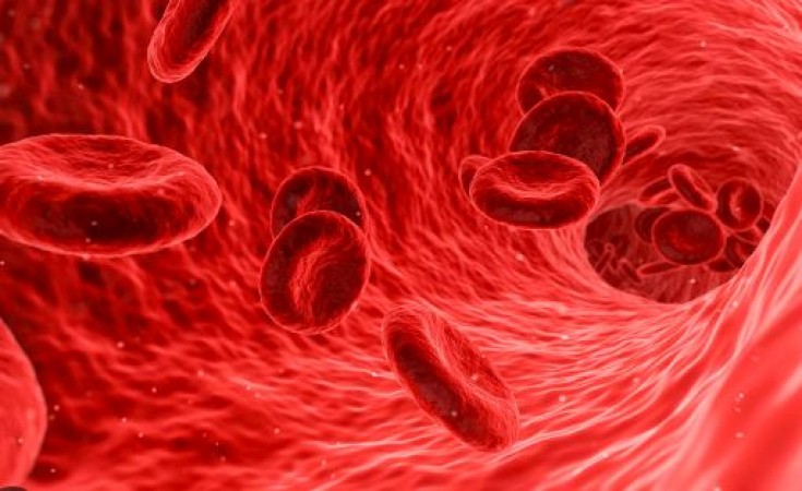 Why is the color of human blood red?