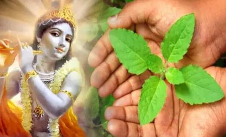 Offering to Lord Krishna Remains Incomplete Without This: It's Also Beneficial for Health