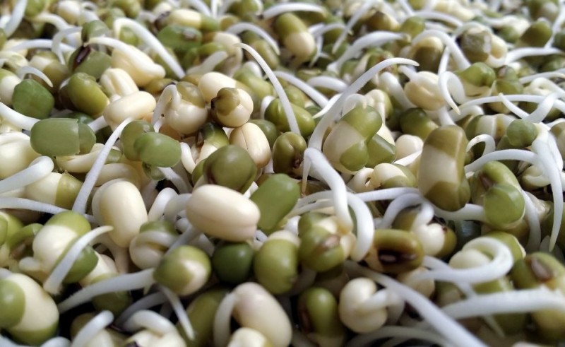 How to Eat Sprouts: Raw or Boiled?