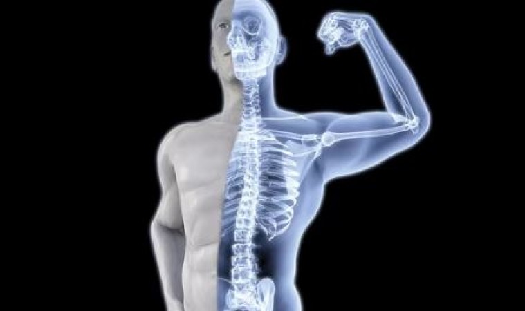 This One Thing Will Revitalize Weak Bones and Provide Tremendous Benefits