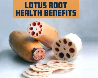 Lotus Root is beneficial for pregnant women.