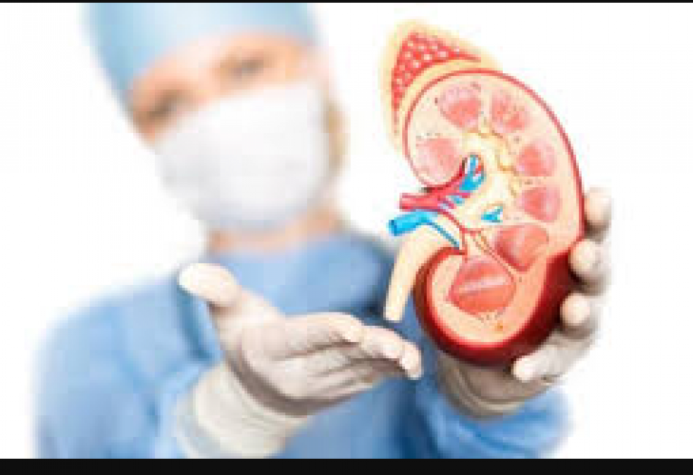 Health Tips: Immediately quit these bad habits to keep kidney healthy