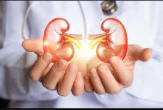 Health Tips: Immediately quit these bad habits to keep kidney healthy