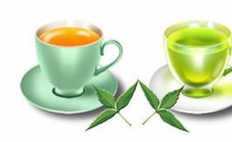 कैंसर की बीमारी से बचाती है नीम की चाय