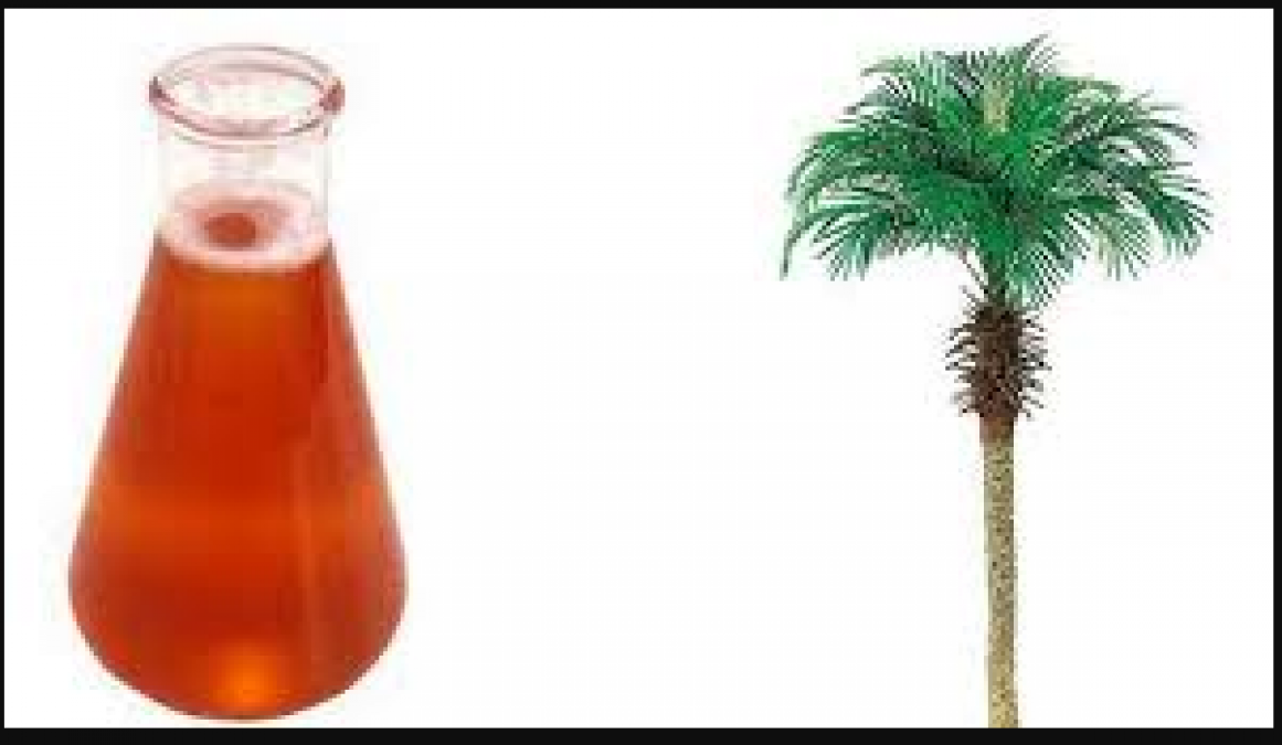 Health Tips: Know here magical health benefits of Palm Oil