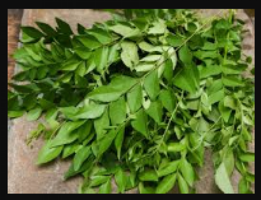 Magical health benefits of curry leaves, Know how to use