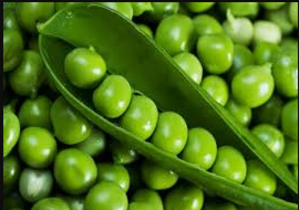 Amazing health benefits of green peas