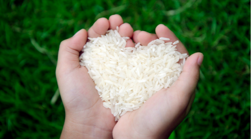 चावल में नहीं होता कोई हानिकारक फैट, बनेगी सेहत