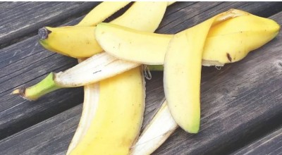 रोज केला खाने से कम होता है कैंसर का खतरा!