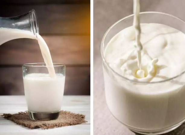 क्या कच्चा दूध पीना हेल्थ के लिए नुकसानदायक है? जानिए एक्सपर्ट्स की राय