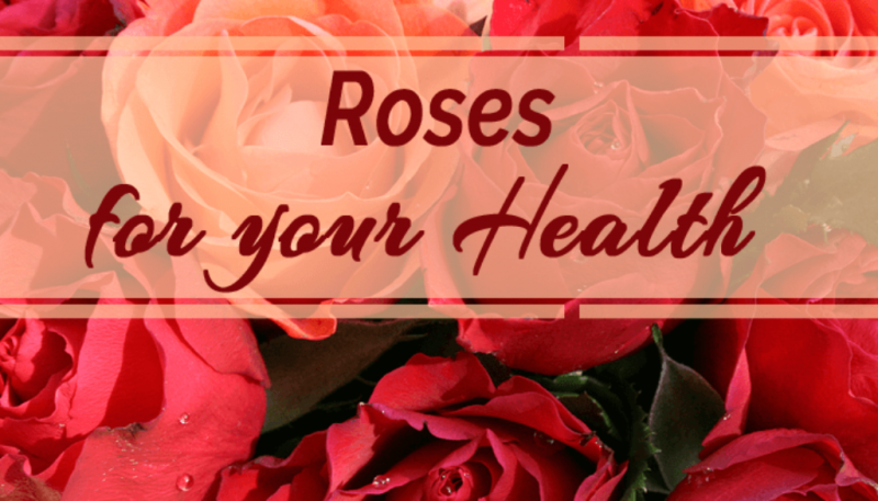 Rose Day : अपने पार्टनर को गुलाब देने के साथ ही जान लें सेहत से जुड़े फायदे