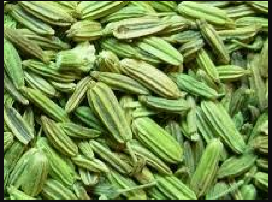 Fennel tea is effective in reducing obesity and stress, know the amazing health benefits