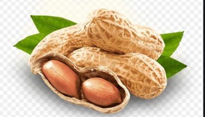 If you are fond of eating peanuts, then first know these 4 big disadvantages