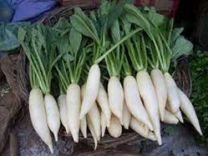 Radish: Not only in salads, but also a boon for health