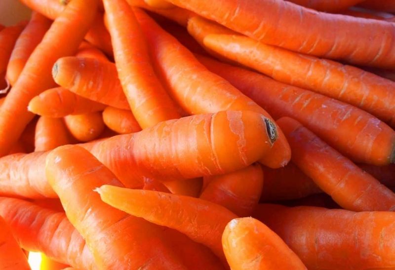 शारीर की रोगप्रतिरोधक क्षमता को बढ़ाती है गाजर