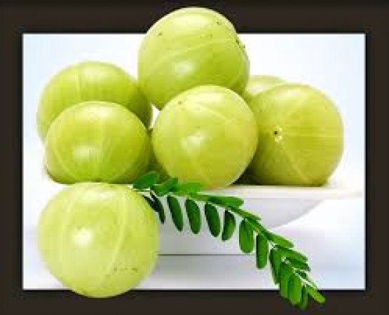 Know why to 'must' include amla in your daily diet