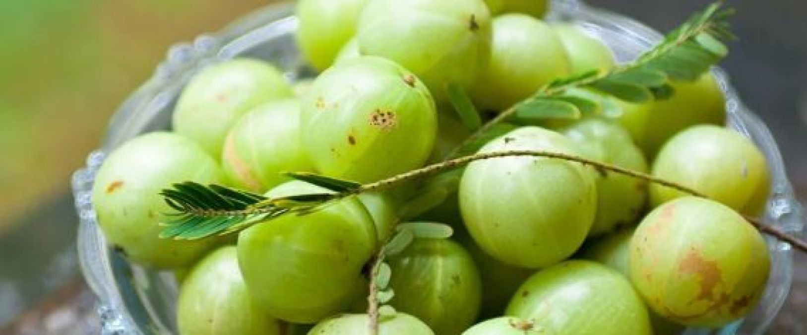 Gooseberry is useful for everything from improving digestion to memory enhancement