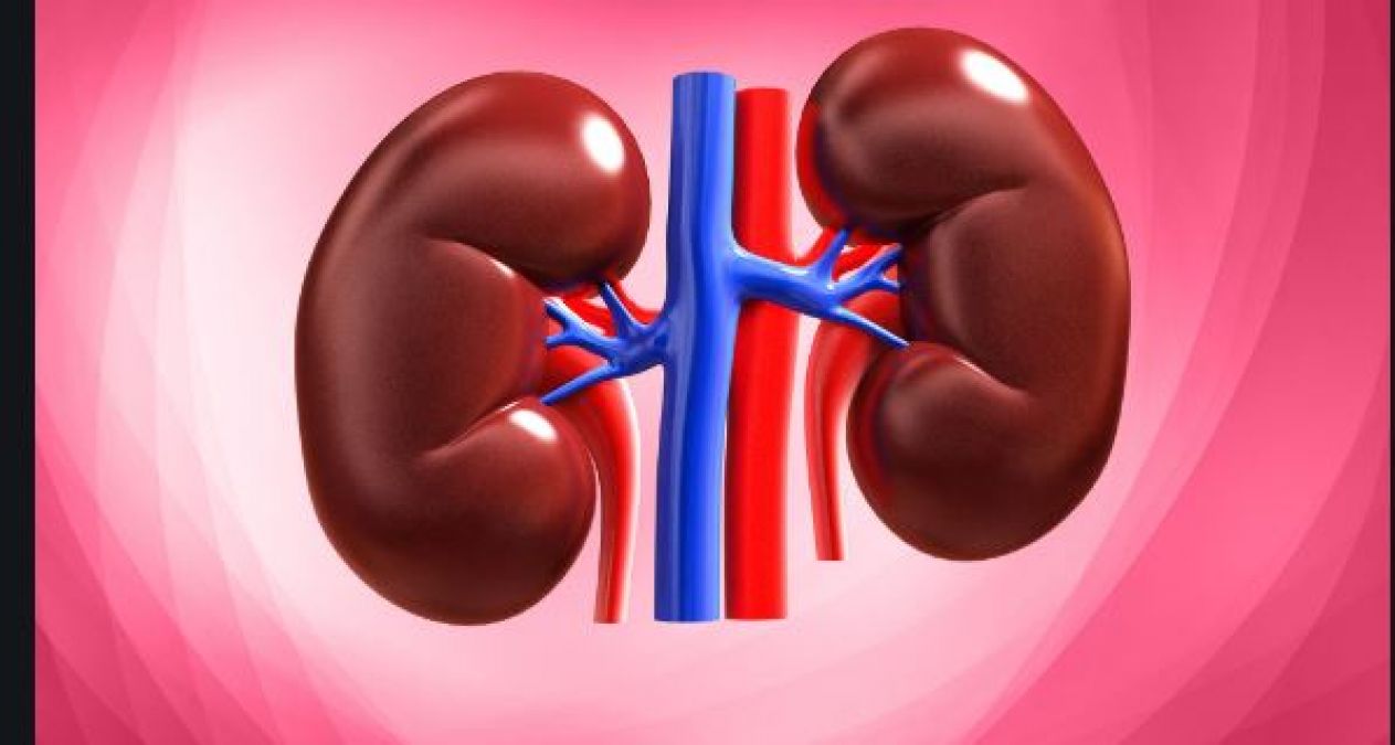 If you want to keep your kidneys healthy, then stop eating these things today