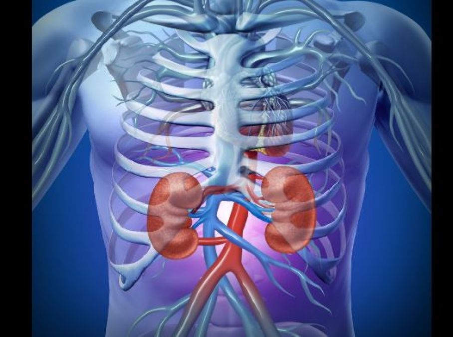 If you want to keep your kidneys healthy, then stop eating these things today