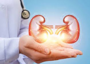Keep these things in mind related to body, you will not suffer from kidney disease