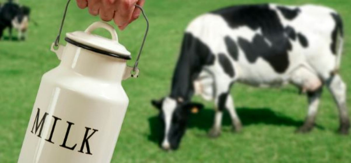 शिशु को नहीं पिलाना चाहिए गाय का दूध, जानिए क्यों और इससे होने वाले नुकसान