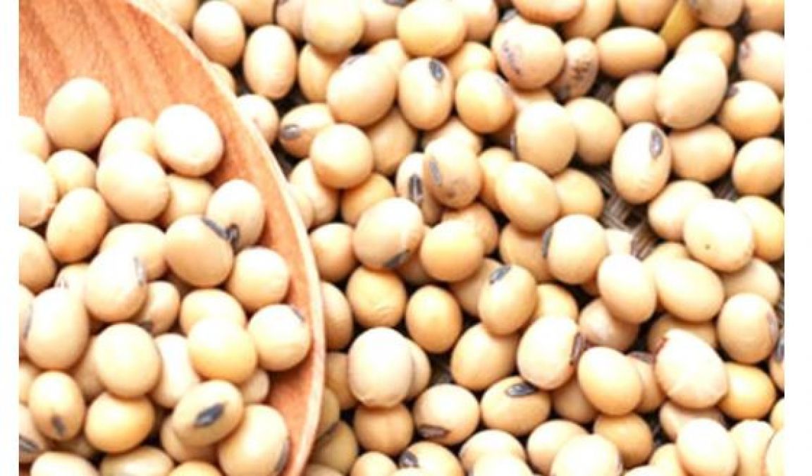 Soyabean contains more protein than meat, know the benefits of eating