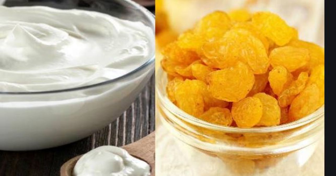 Eat raisins with curd in cold, there will be unmatched benefits