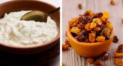 Eat raisins with curd in cold, there will be unmatched benefits