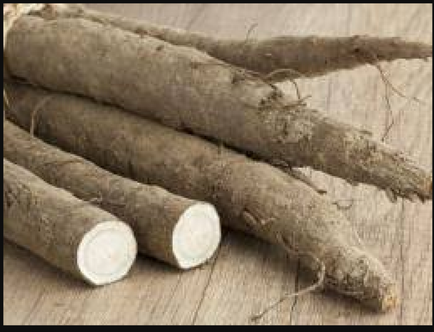 Maka root is beneficial for women during menstruation and menopause