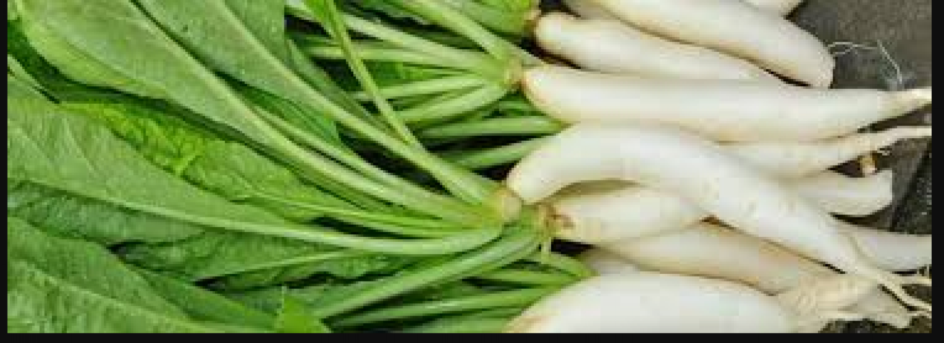 Eating radish can eliminate these diseases, it is full of these qualities, know