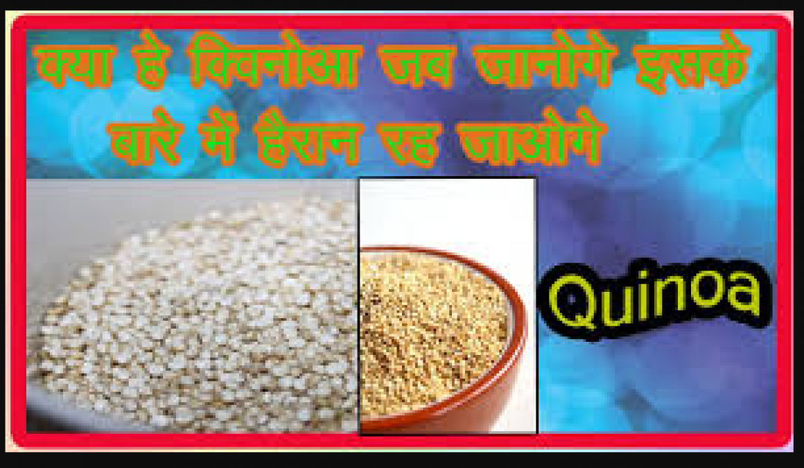 किनवा (Quinoa)  खाएंगे तो नहीं होंगे इन बीमारियों के शिकार ,इसमें बसा है सेहत का खजाना