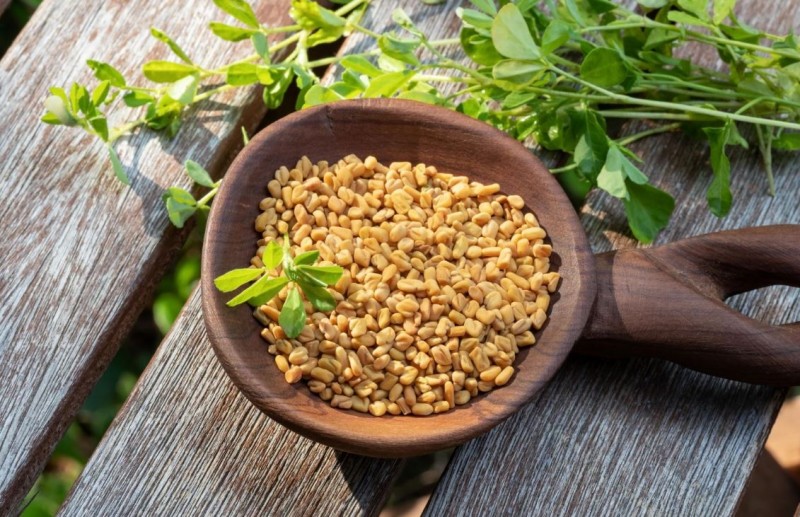 Dangerous for Certain Individuals: The Impact of Fenugreek Seed Consumption