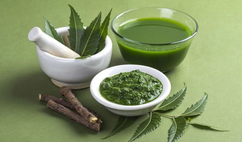 Maintain Healthy Hair Alongside Glowing Skin: Just Use Neem in This Way