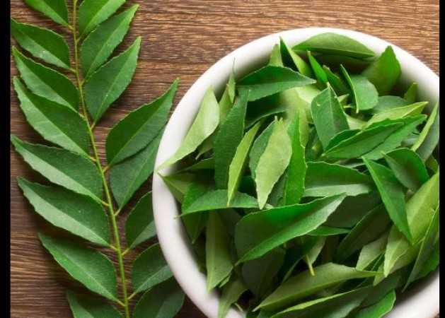 Eating curry leaves on an empty stomach in the morning will increase the light of the eyes