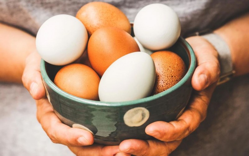 इन फूड्स में होता है अंडे से भी ज्यादा प्रोटीन