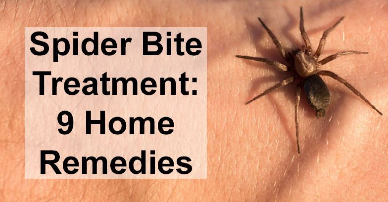 On Spider bites get swelling then follow these cures