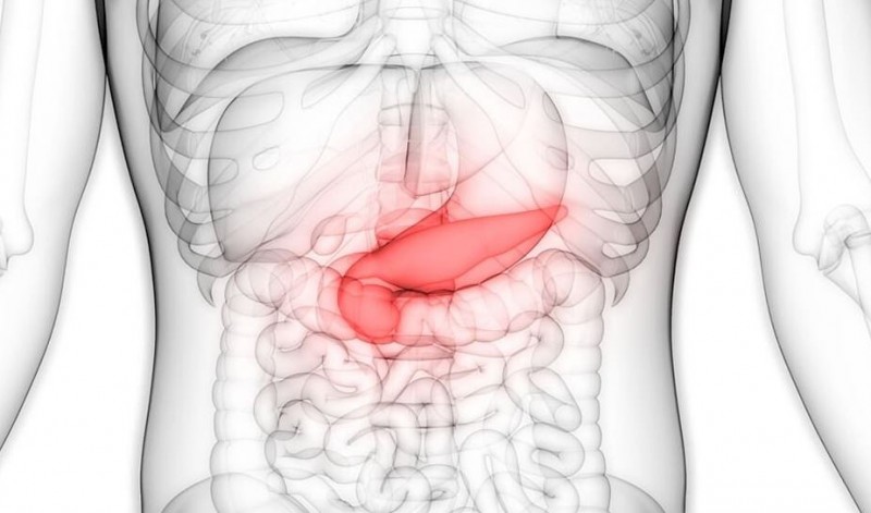 These Signs of Pancreas Damage Should Not Be Ignored