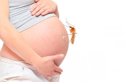 What Should Women Do If They Have Dengue During Pregnancy? Expert Opinions